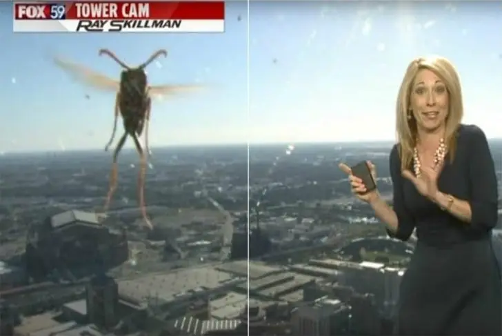 Aliens Captured Live