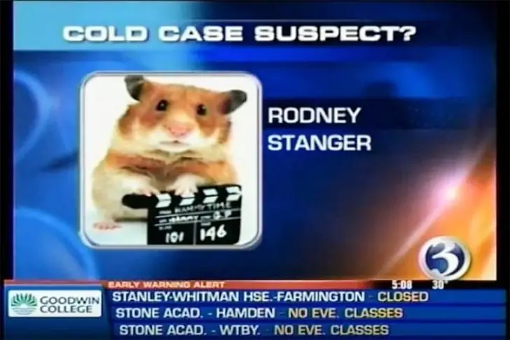 The Perpetrator Hamster