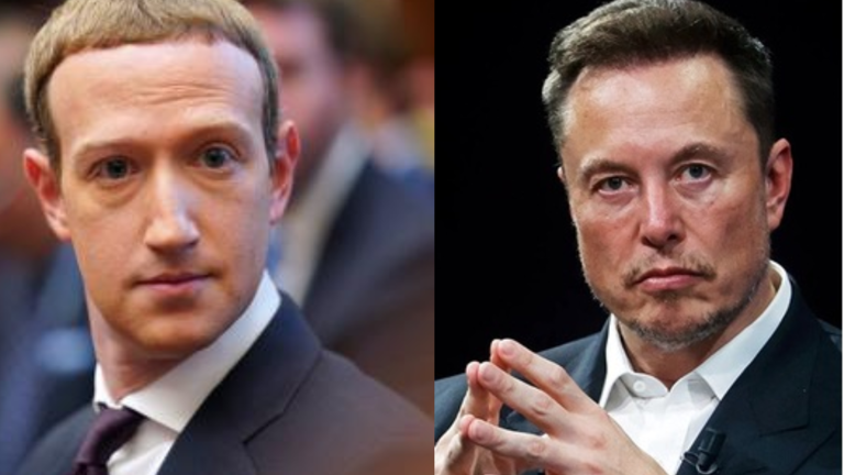 Elon Musk vs Mark Zuckerberg cage fight.